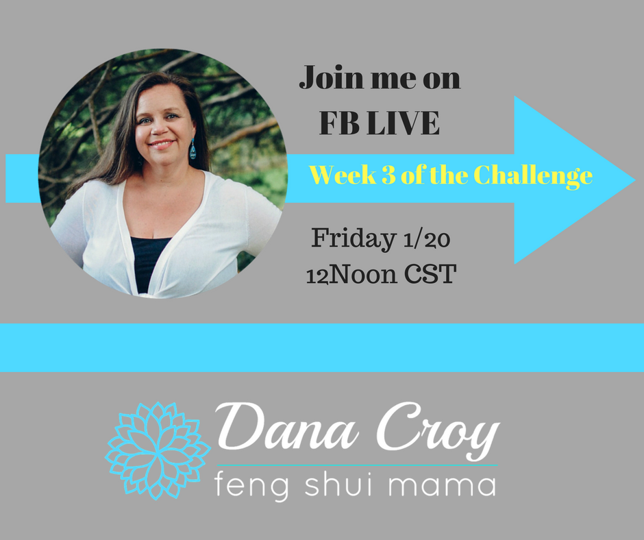 Dana Croy, Feng Shui Mama, Facebook Live talking about the 11 Week Challenge to a Clean Organized Life